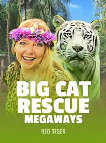 Big Cat Rescue Megaways Game: Cara Akses dan Bermain dengan Aman